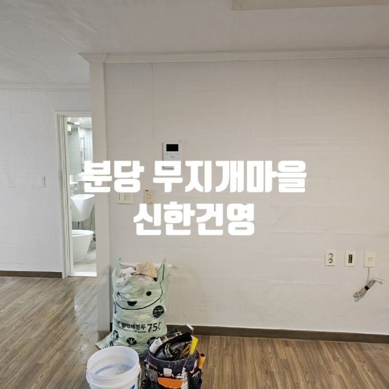 고데코 이미지
