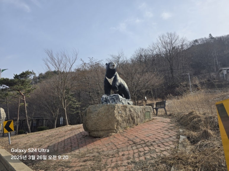 DMZ 평화의 길 31코스 이미지