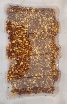 칼뽕 이미지