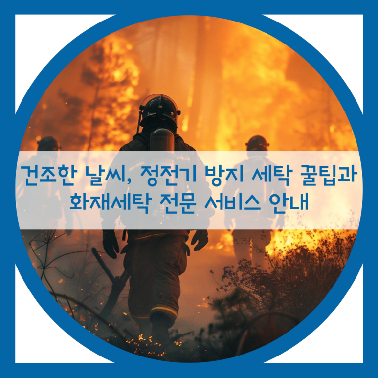 월드크리닝경북 이미지