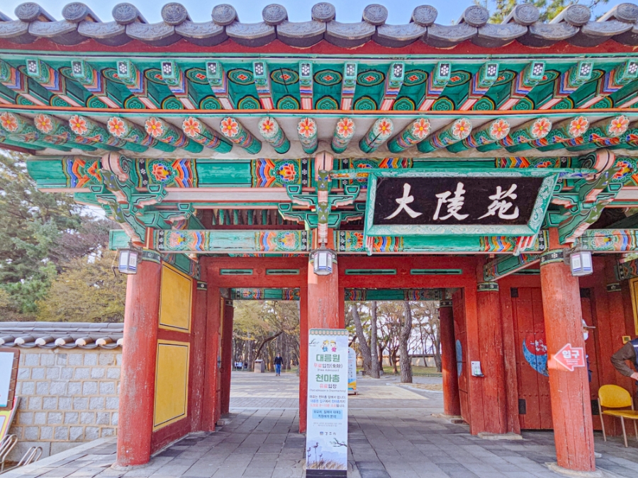 돌담길전동스쿠터대여 이미지