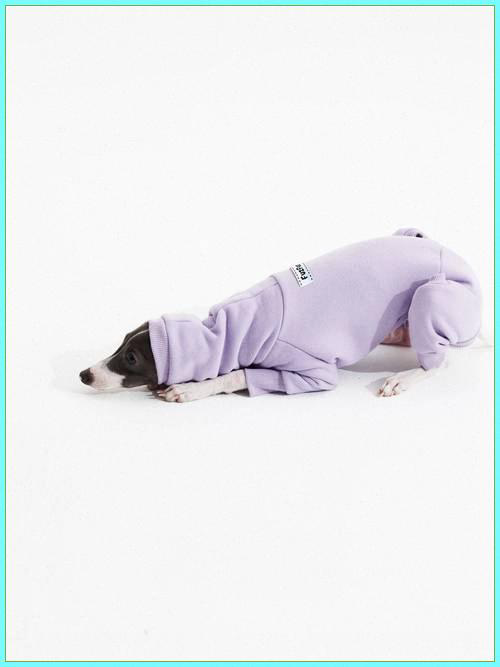 왓두유 이미지
