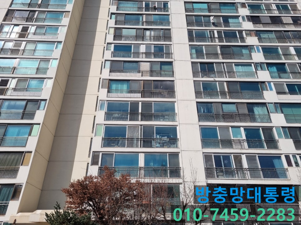 방충망대통령 이미지