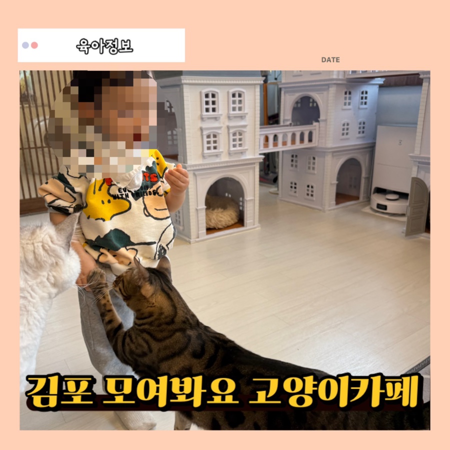 모여봐요 고양이카페 이미지