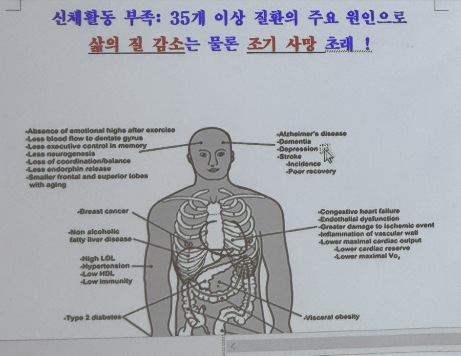 서프라이즈보드카페 이미지