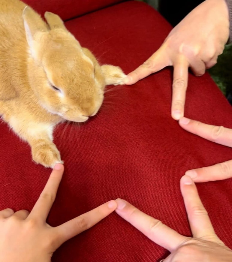 인스타카페 이미지