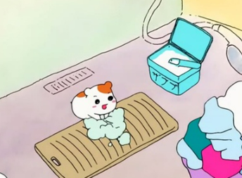 하얀나라세탁 이미지