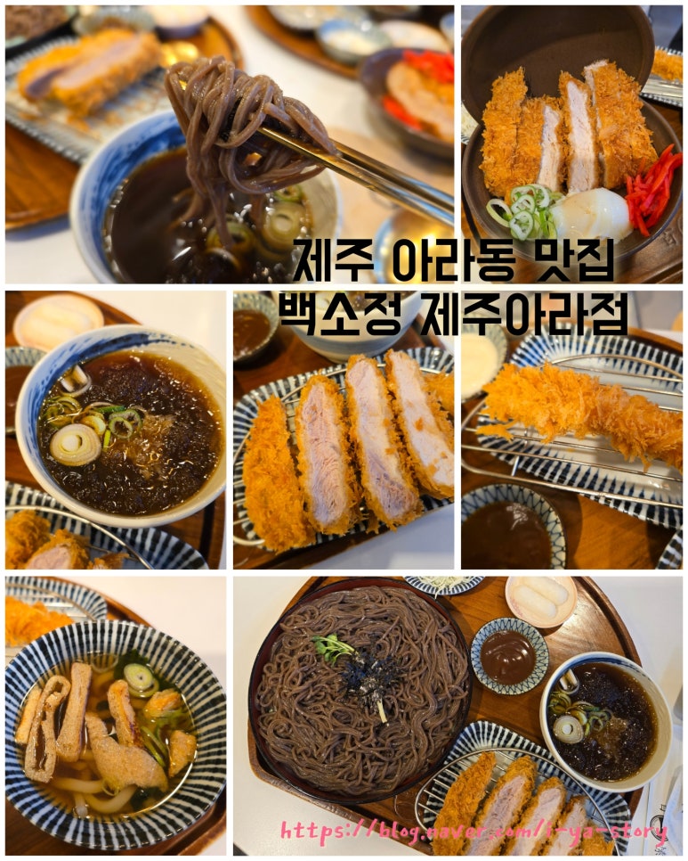 백소정제주아라점 이미지