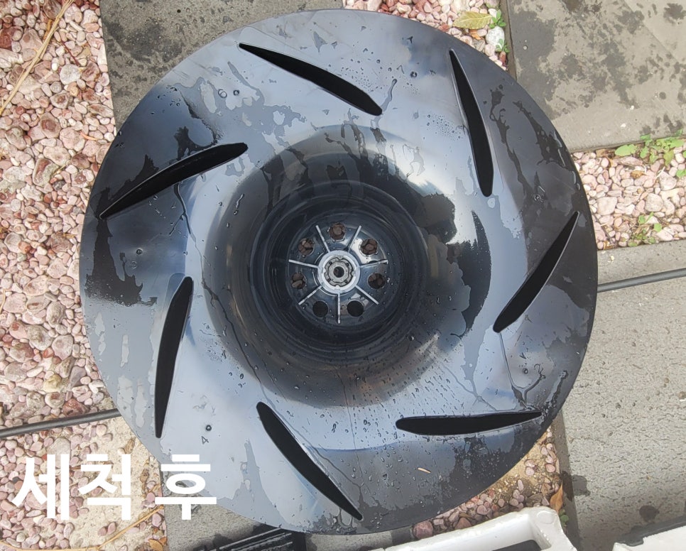 그린케어스 이미지