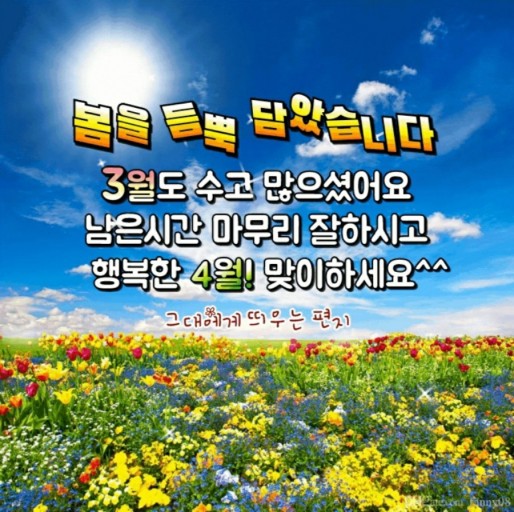 서울도넛츠 이미지