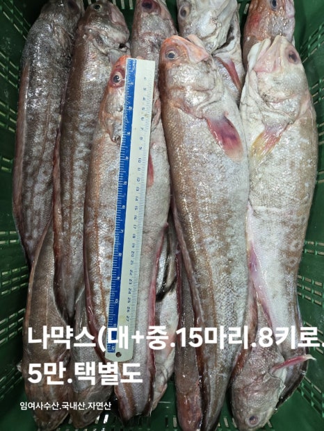 임여사수산 이미지