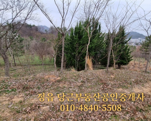 제일카공업사 이미지