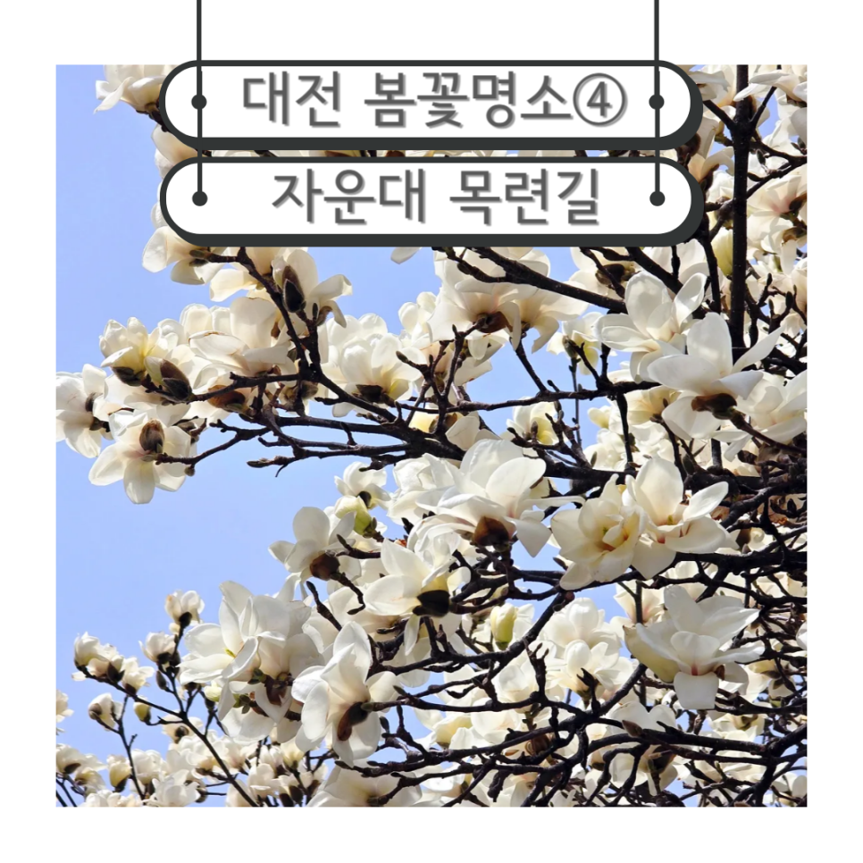 하이넷 자운대 수소충전소 이미지
