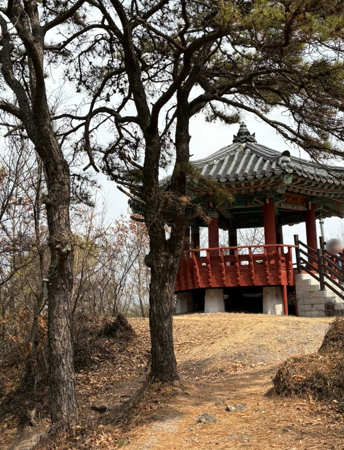 말미산정상 이미지
