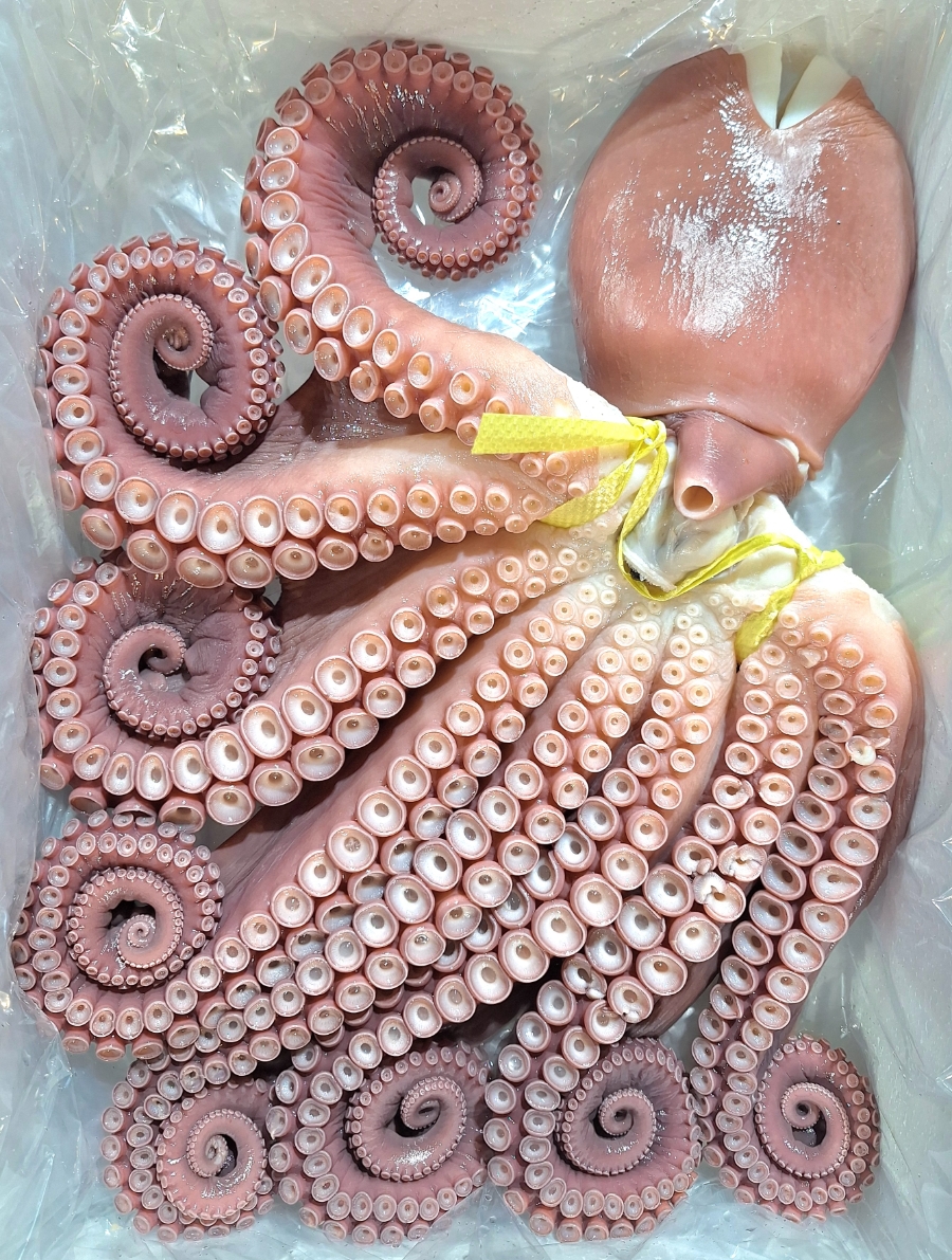 오예수산 이미지