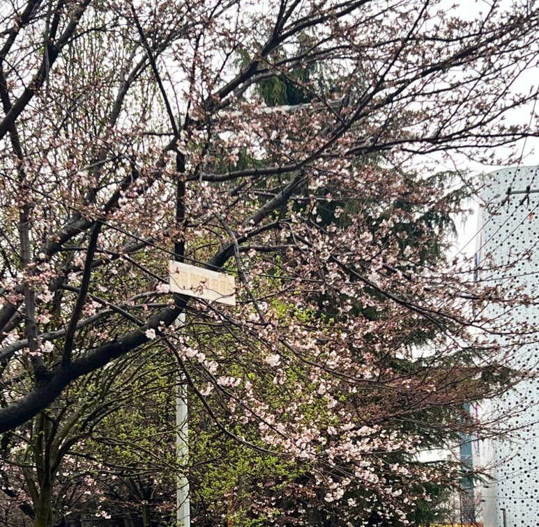 꽃핌 이미지