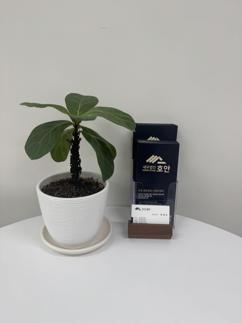 세무법인제일 이미지