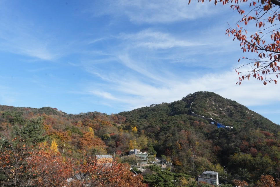 가볍고 강력한 풀프레임 미러리스 카메라 추천, 소니 A7C2 1년 사용후기 이미지 17