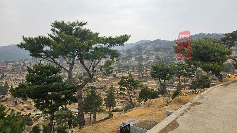 신세계장묘 이미지