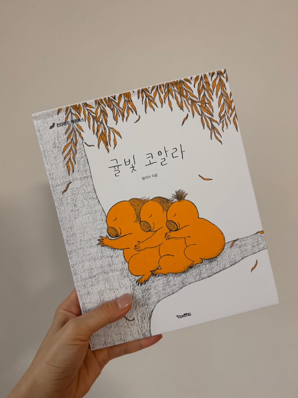 권*배 이미지