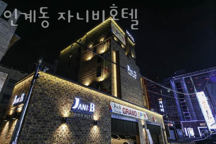 자니비 이미지