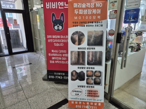비비엔느헤어살롱 이미지