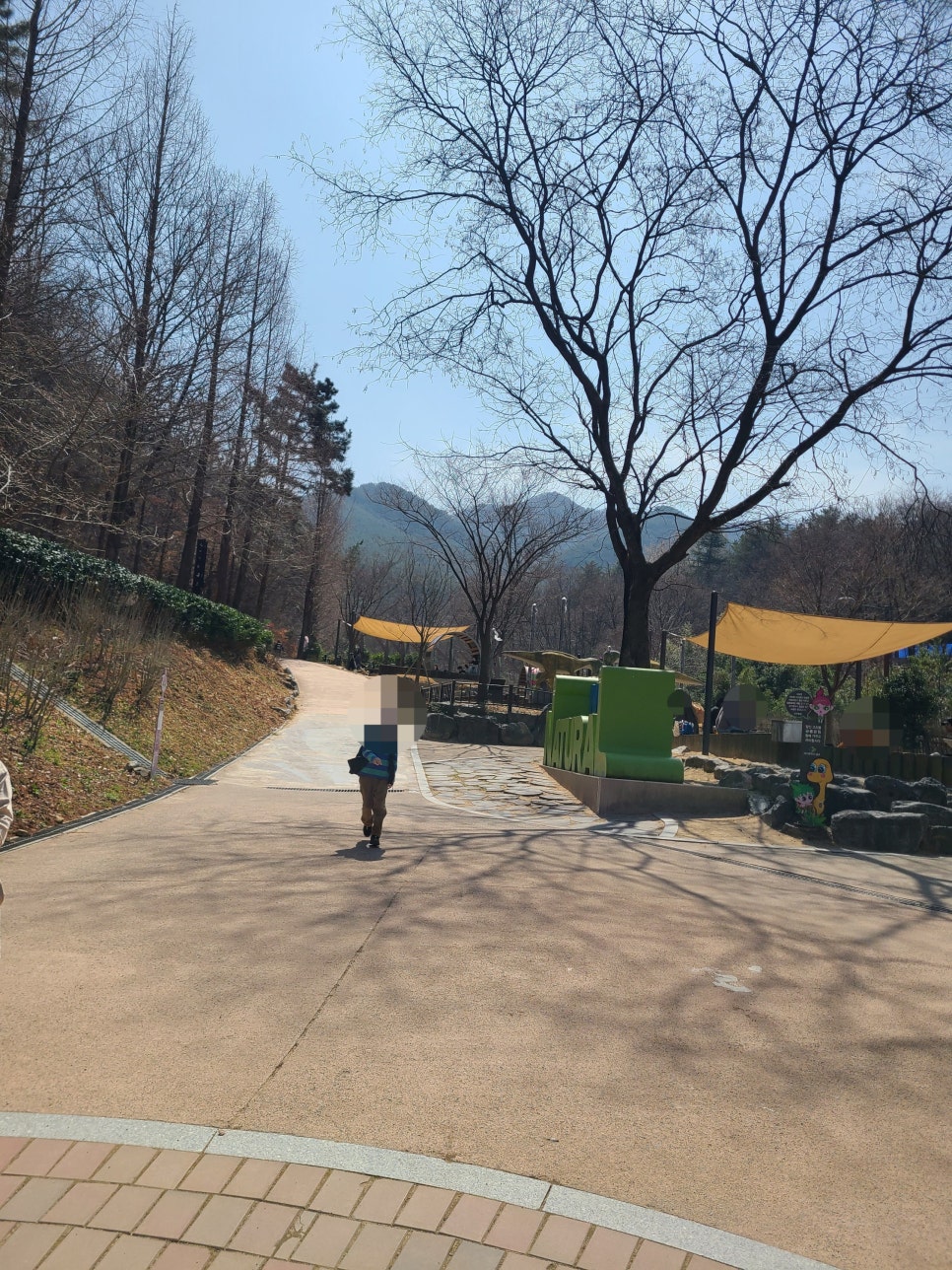 앞산고산골 유아숲체험원 이미지