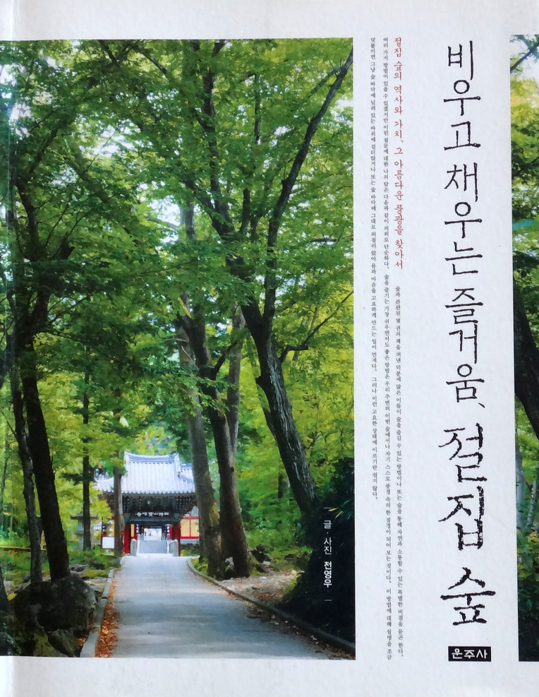 비우고채우는숲 이미지