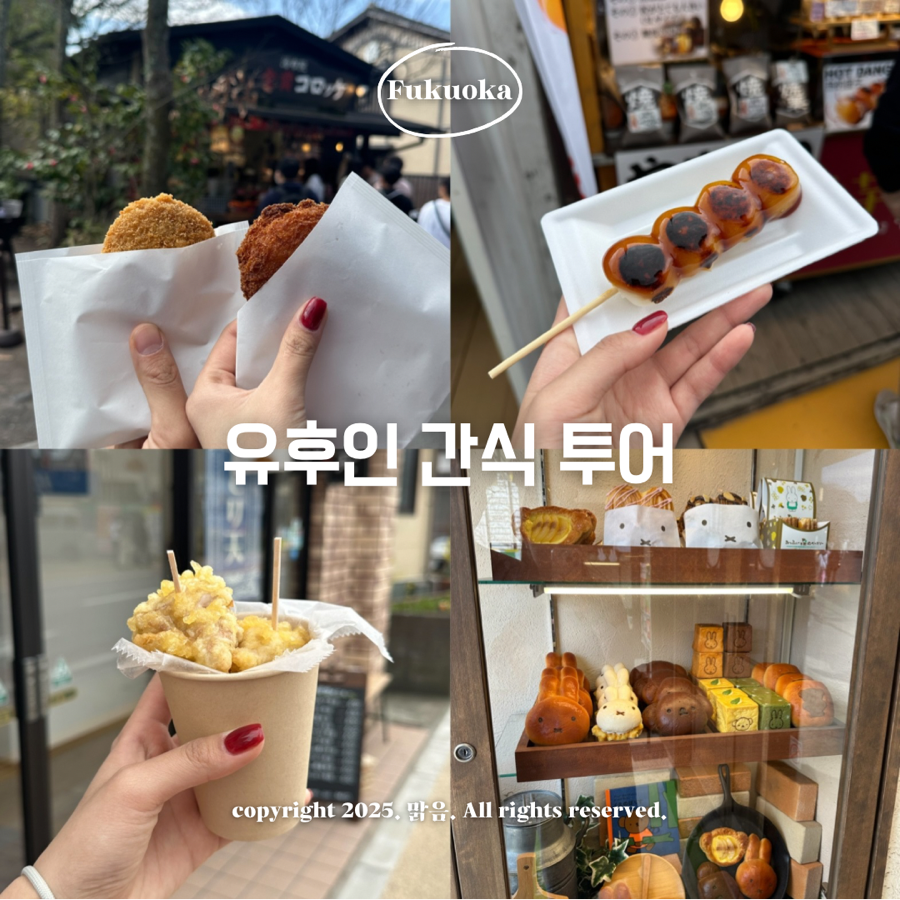 금상투어 이미지