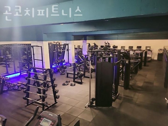 곤코치피트니스 이미지