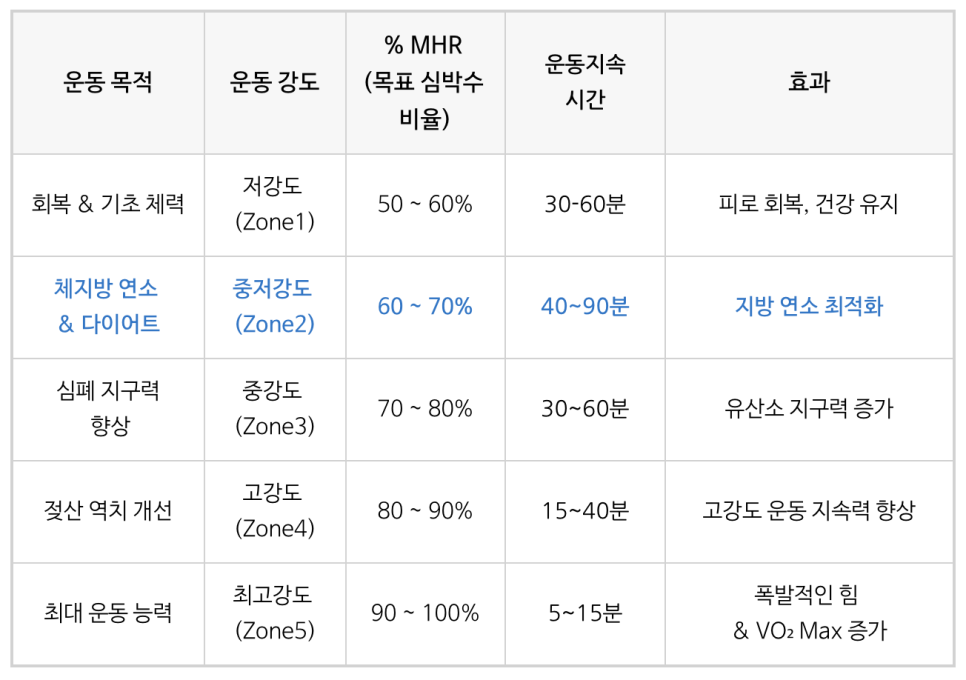 위더핏 이미지