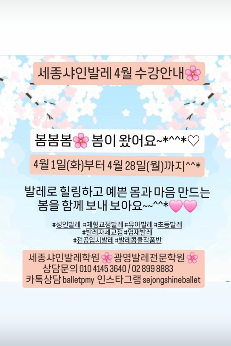 세종샤인발레학원 이미지