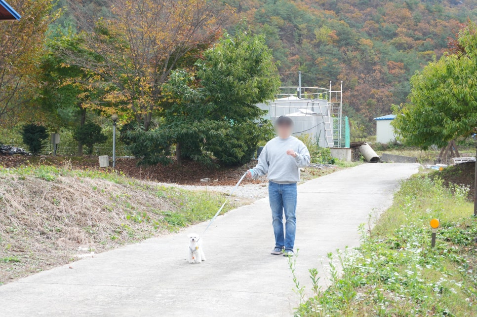 댕댕이애견가족펜션블랙 이미지