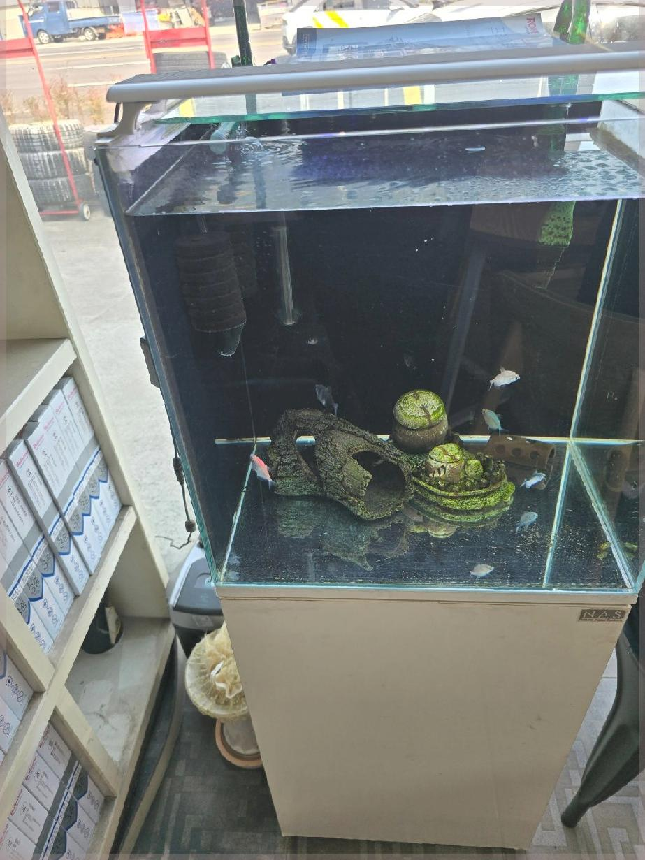 삼화타이어 이미지
