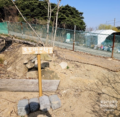 캄비오 캠핑장 이미지