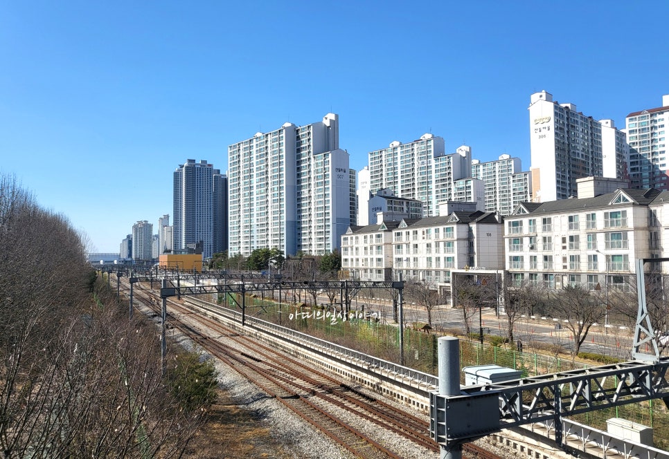 리본구제샵 이미지