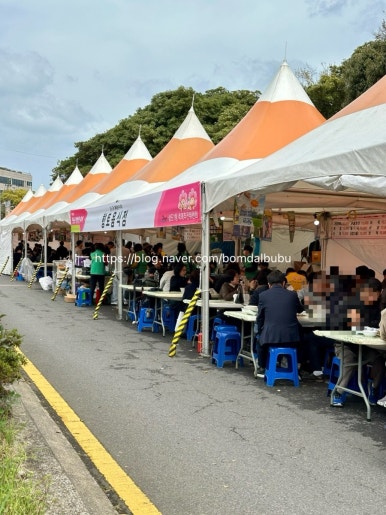 통쿨삼춘 이미지