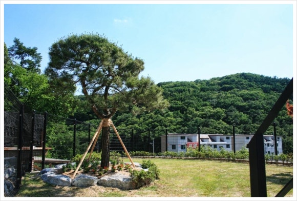 더조경 이미지