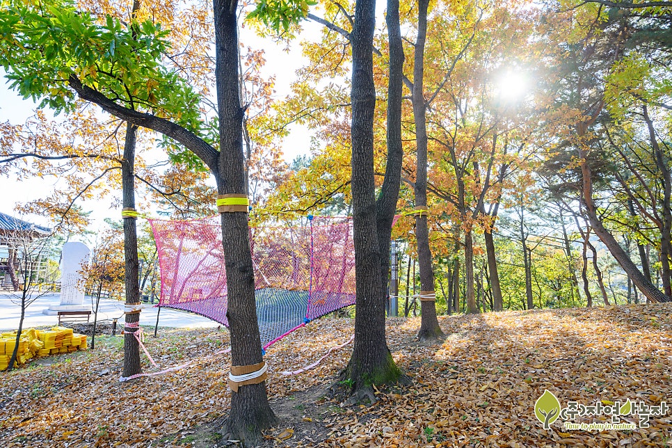 화랑 유아숲체험원 이미지