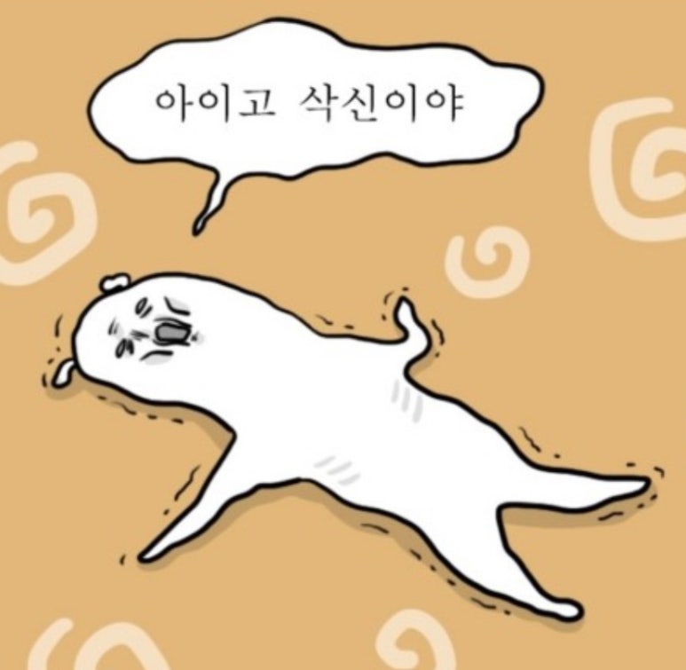 심우향 이미지