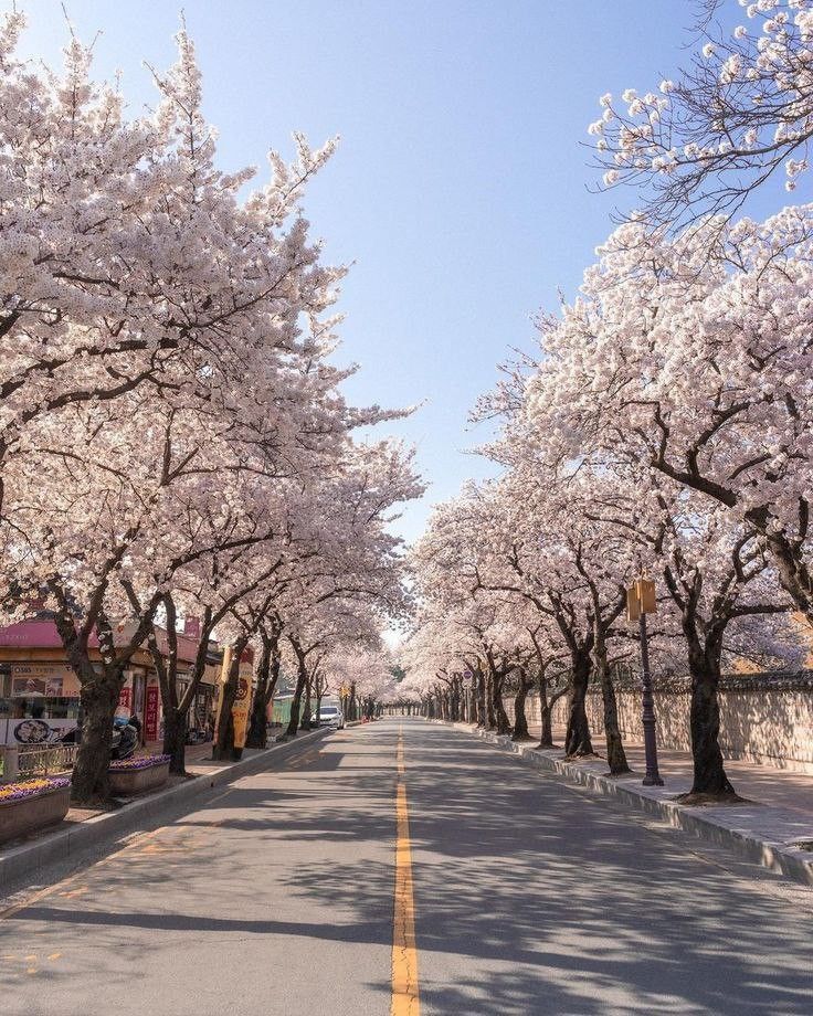 불러썸 이미지