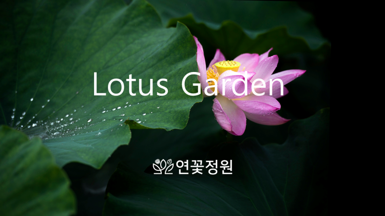 농업회사법인연꽃정원유한회사 이미지