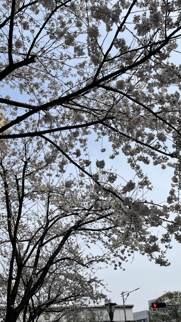 진술미용실 이미지