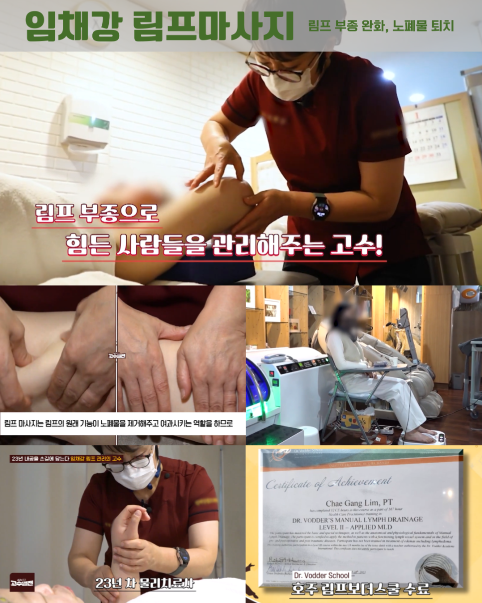 임채강림프드레나쥐 이미지