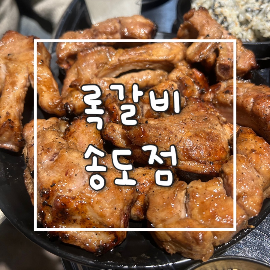 술이동동 이미지