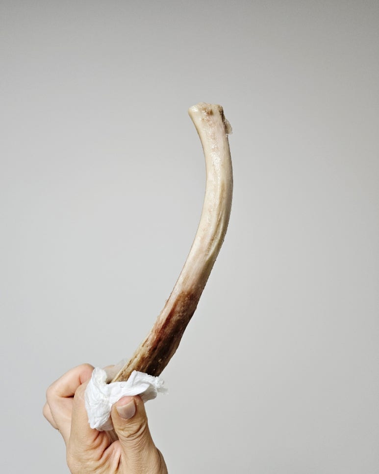 소반옥 이미지