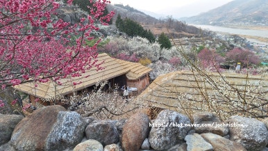 강변의수채화 이미지
