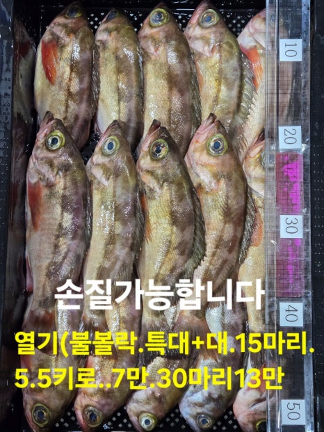 임여사수산 이미지