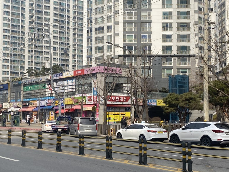 다니엘사 이미지