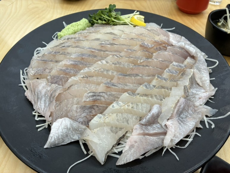 더피쉬 이미지